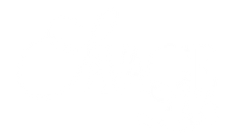 Savage Lab